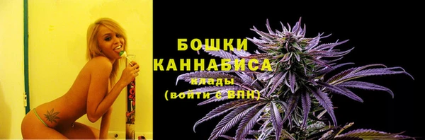 стаф Балахна