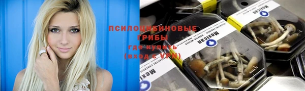 стаф Балахна