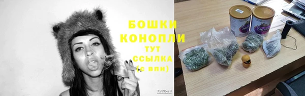 ПСИЛОЦИБИНОВЫЕ ГРИБЫ Балабаново
