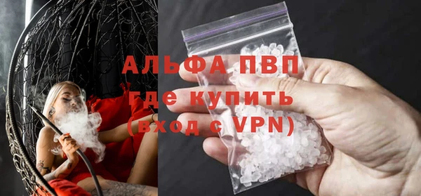 стаф Балахна
