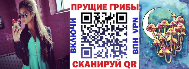 Галлюциногенные грибы Psilocybe  хочу   Борисоглебск 